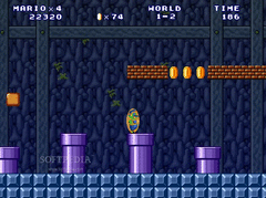 Super Mario 3: Mario Forever screenshot 5