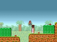 Super Mario Bros. Eat Your Vegatables screenshot