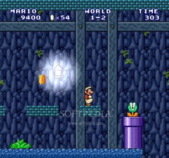 Super Mario Forever Flash screenshot 2