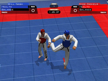 Tae Kwon Do World Champion screenshot 2
