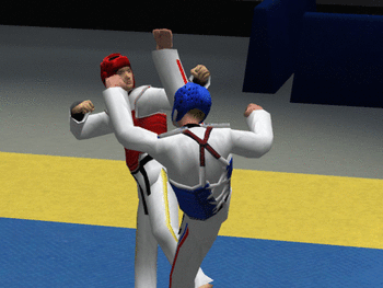 Tae Kwon Do World Champion screenshot 3
