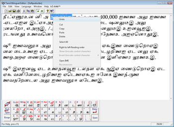 Tamil Bilingual Editor screenshot 2