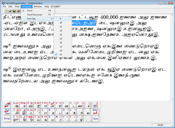 Tamil Bilingual Editor screenshot 5