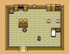 The legend of Zelda Realm of Shadow screenshot