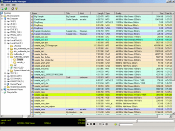Toolsoft Audio Manager screenshot