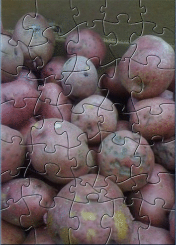 TSP Hot Potato Puzzle screenshot
