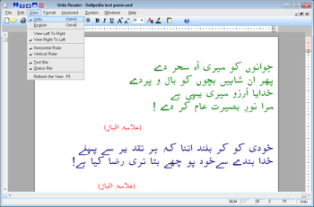 Urdu Reader screenshot 2