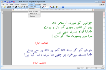 Urdu Reader screenshot 4