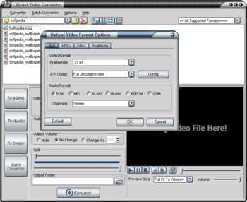 Visual Video Converter screenshot 2