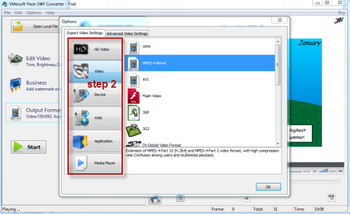 VMeisoft Flash SWF Converter screenshot 7