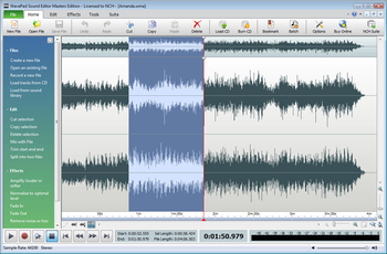 WavePad Audio and Music Editor Pro screenshot