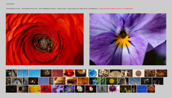 Web Style Gallery Pro screenshot