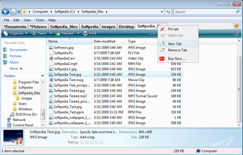 Windows Explorer Tab screenshot 3