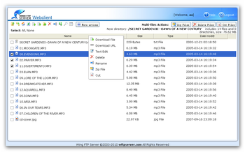 Wing FTP Server screenshot 7
