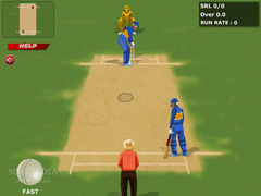 World Cricket screenshot 2