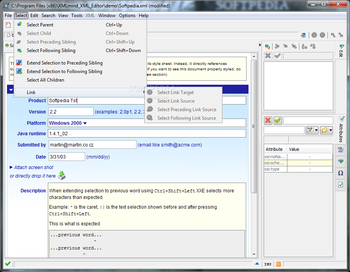 XMLmind XML Editor screenshot 3