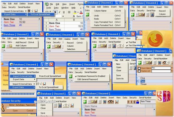 ZeN 2005 Desktop Database screenshot