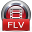 4Videosoft FLV to Video Converter icon