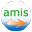 AMIS 3.1