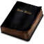 Bible Downloader icon