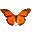 Butterfly on Desktop 1