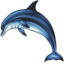 Dolphins 3D Screensaver and Animated Wallpaper icon