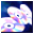 Fantom CD icon