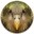 Kakapo 1.3