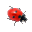 Ladybug on Desktop 1.2