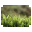 Macro Grass icon