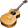 MagicScore Guitar icon