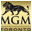 Neural Network Indicator for MGM 1.4