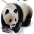 Panda Movie Maker icon