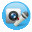 RSkype Recorder icon
