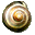 SnailSync icon