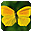 Splendid Butterflies Free Screensaver 2