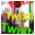 Twixtor 6.2