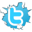Unblock Twitter Proxy icon