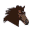 Visual Horse icon