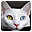 Winsome Cats Free Screensaver icon
