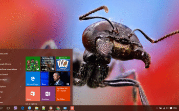 Ant screenshot