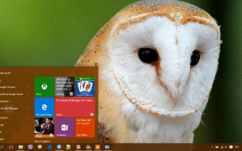 Barn Owl screenshot