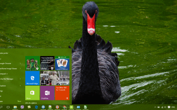 Black Swan screenshot