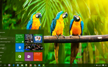 Blue And Yellow Macaw screenshot