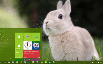 Bunny screenshot
