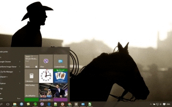 Cowboy screenshot