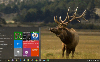 Elk screenshot