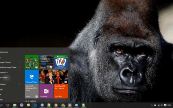 Gorilla screenshot