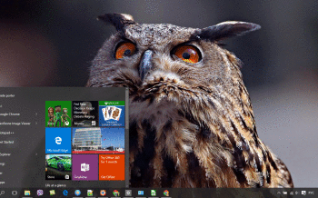 Great Horned Owl screenshot