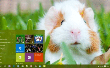 Guinea Pig screenshot